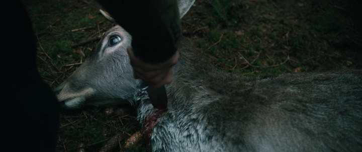 Нажмите для просмотра в оригинальном размере