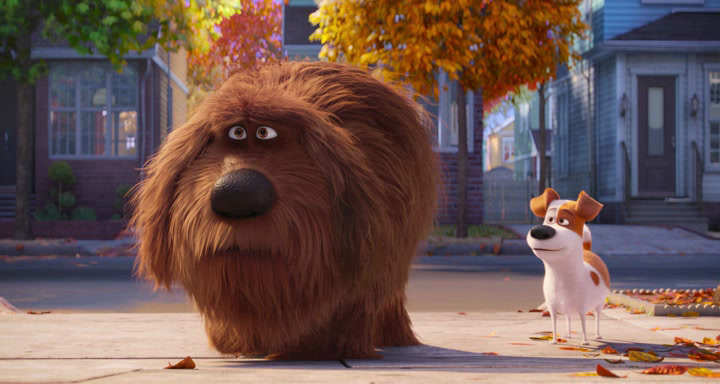 Нажмите для просмотра в оригинальном размере