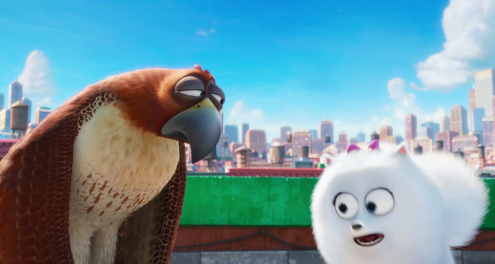 Нажмите для просмотра в оригинальном размере