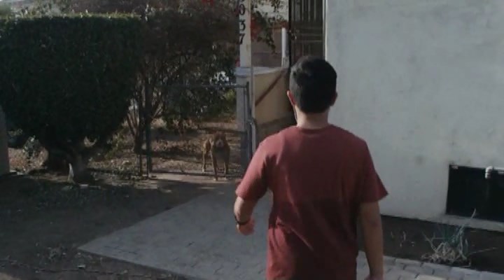 Нажмите для просмотра в оригинальном размере