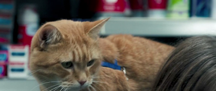 Нажмите для просмотра в оригинальном размере