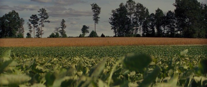 Нажмите для просмотра в оригинальном размере