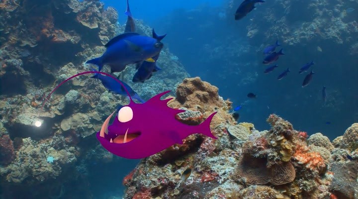 Нажмите для просмотра в оригинальном размере