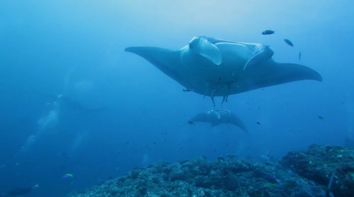 Нажмите для просмотра в оригинальном размере