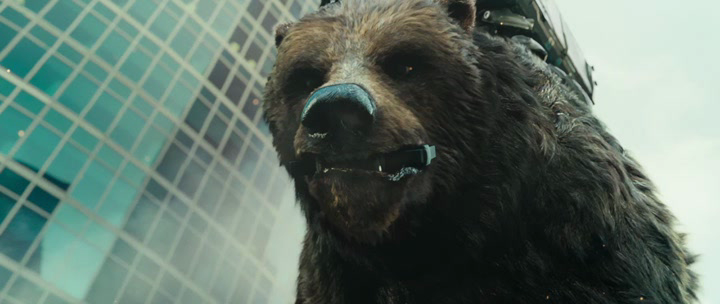 Нажмите для просмотра в оригинальном размере