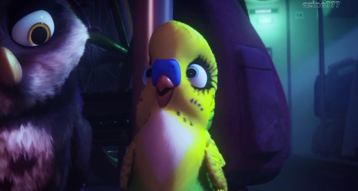 Нажмите для просмотра в оригинальном размере