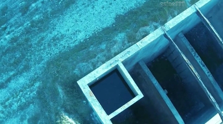 Нажмите для просмотра в оригинальном размере