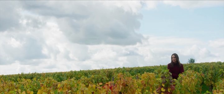 Нажмите для просмотра в оригинальном размере