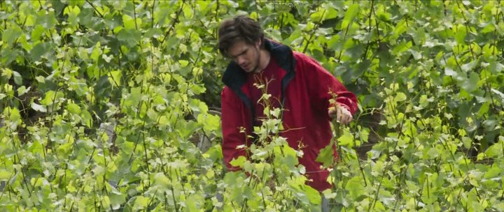 Нажмите для просмотра в оригинальном размере