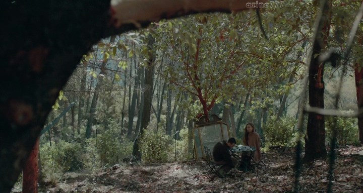 Нажмите для просмотра в оригинальном размере