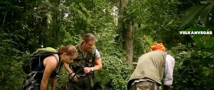 Нажмите для просмотра в оригинальном размере