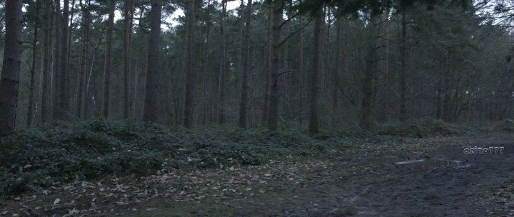 Нажмите для просмотра в оригинальном размере