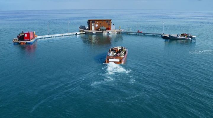 Нажмите для просмотра в оригинальном размере