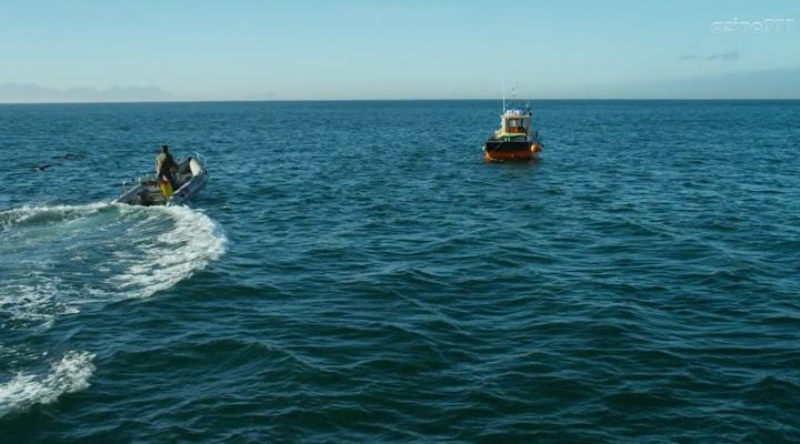 Нажмите для просмотра в оригинальном размере