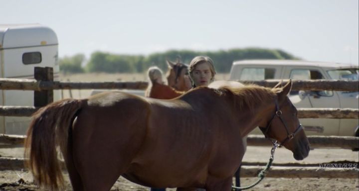 Нажмите для просмотра в оригинальном размере