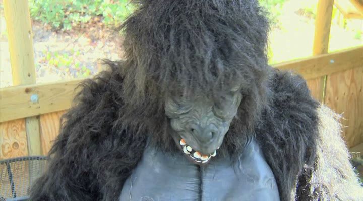 Нажмите для просмотра в оригинальном размере