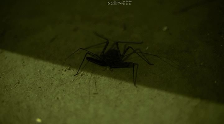 Нажмите для просмотра в оригинальном размере