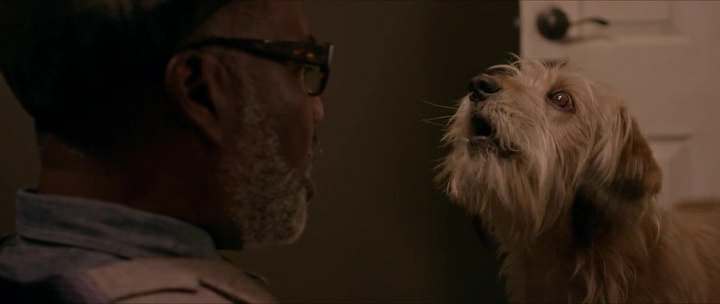 Нажмите для просмотра в оригинальном размере