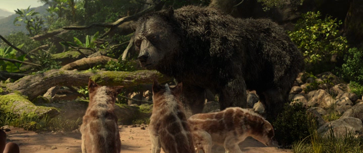 Нажмите для просмотра в оригинальном размере