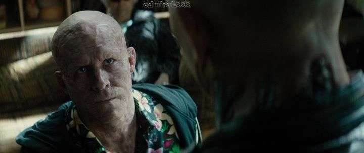 Нажмите для просмотра в оригинальном размере