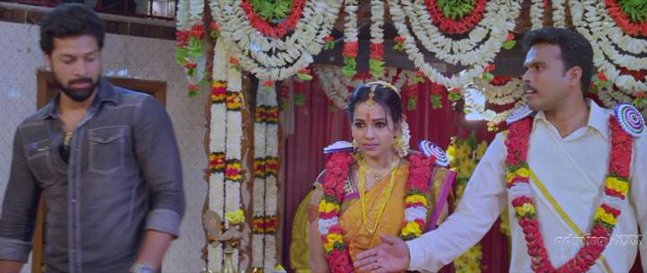 Нажмите для просмотра в оригинальном размере