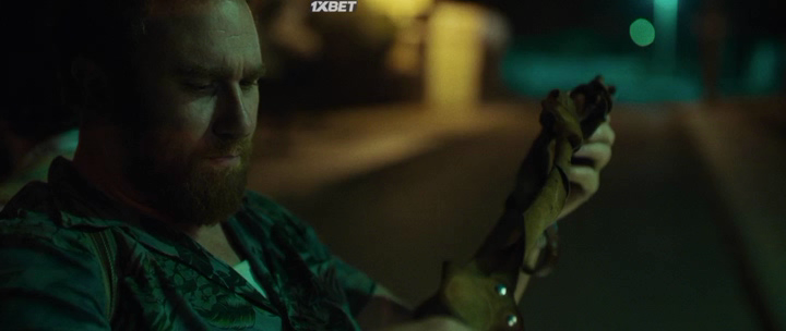 Нажмите для просмотра в оригинальном размере