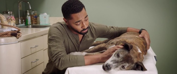 Нажмите для просмотра в оригинальном размере