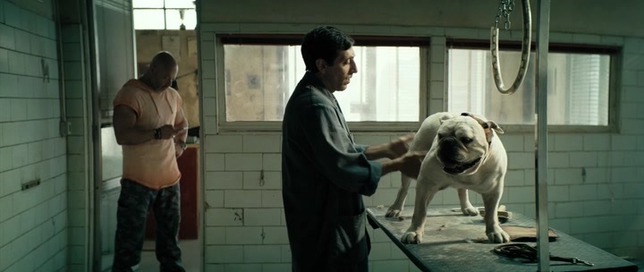 Нажмите для просмотра в оригинальном размере