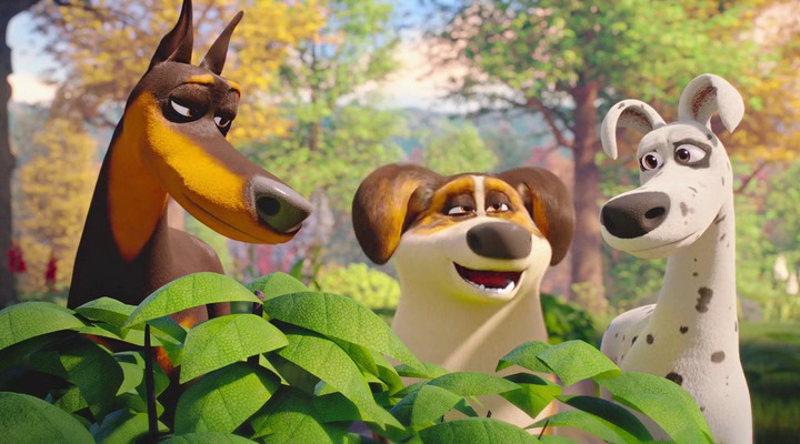 Нажмите для просмотра в оригинальном размере