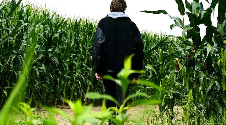 Нажмите для просмотра в оригинальном размере