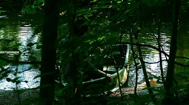 Нажмите для просмотра в оригинальном размере