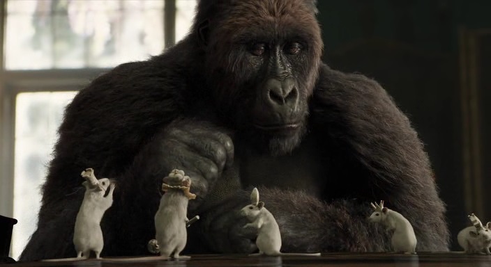 Нажмите для просмотра в оригинальном размере