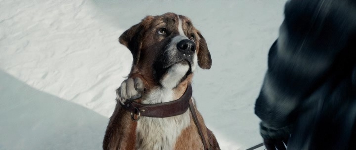 Нажмите для просмотра в оригинальном размере