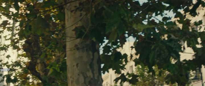 Нажмите для просмотра в оригинальном размере