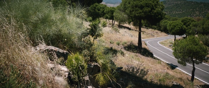 Нажмите для просмотра в оригинальном размере