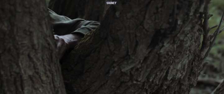 Нажмите для просмотра в оригинальном размере