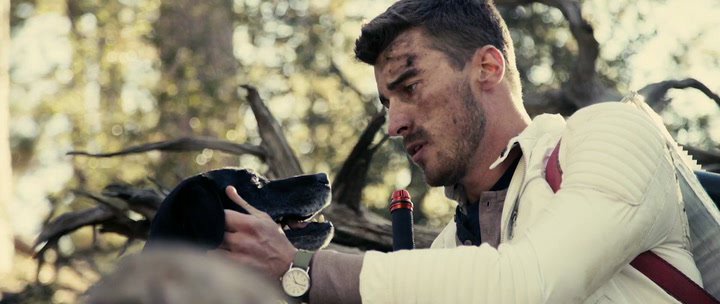 Нажмите для просмотра в оригинальном размере