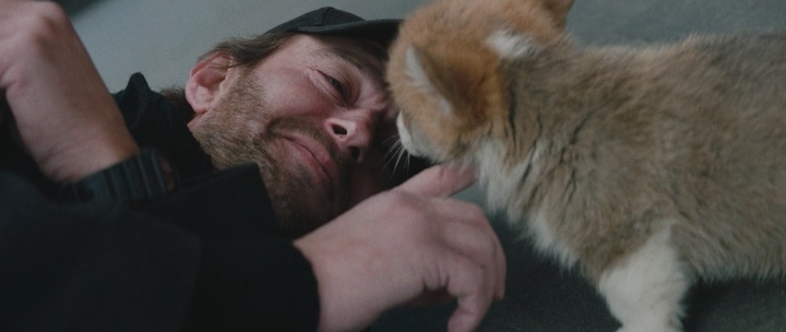 Нажмите для просмотра в оригинальном размере